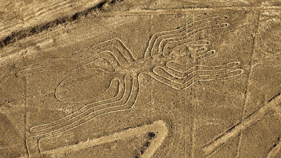 From Nazca: Small Plane Flight Over the Nazca Lines
