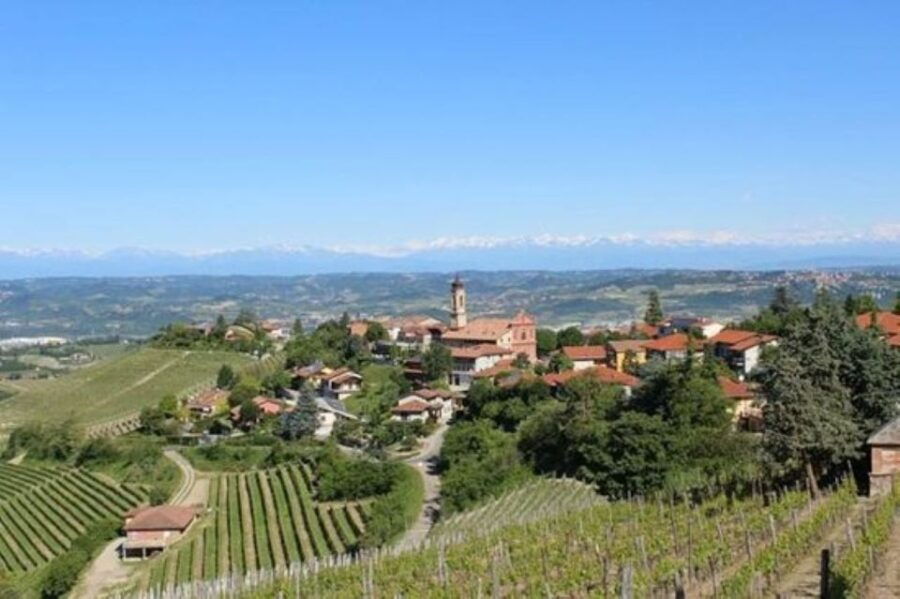 From Neive: Guided E-Bike Tour to Barbaresco and Treiso