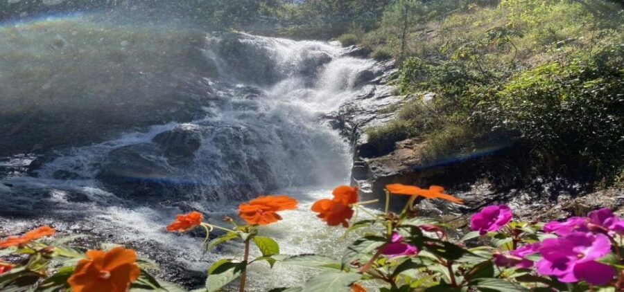 From Nha Trang: Top Site Luxury Da Lat City Trip - Good To Know