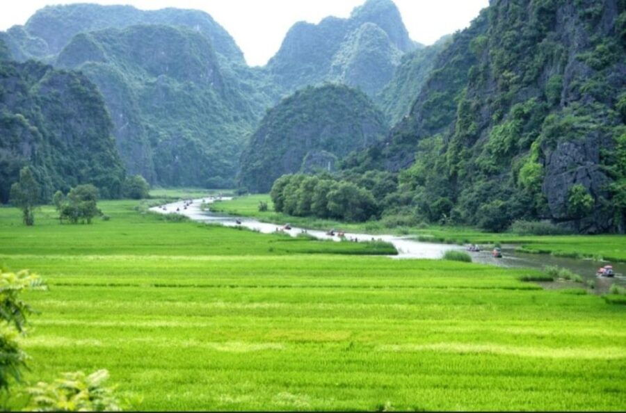 From Ninh Binh: Hoa Lu, Trang An, & Mua Cave Full Day