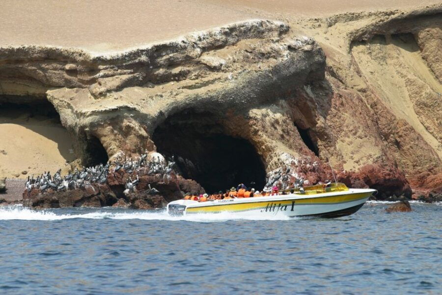 From Paracas: Ballestas Island Boat Tour With Entrances