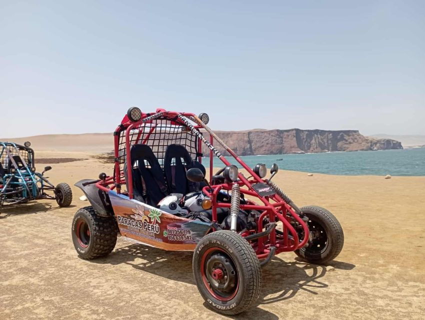 From Paracas Buggy Ride in the Southern Paracas Desert
