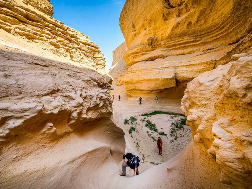 From Paracas/Ica: Canyon of the Lost Guided Day Trip - Activity Details
