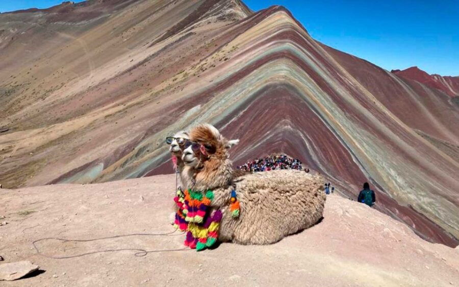 From Peru Private ATVs Tour to Rainbow Mountain Vinicunca - Good To Know