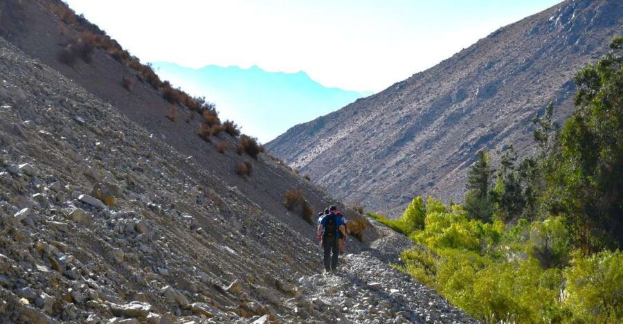From Pisco Elqui: Cochiguaz River Valley Nature Hike