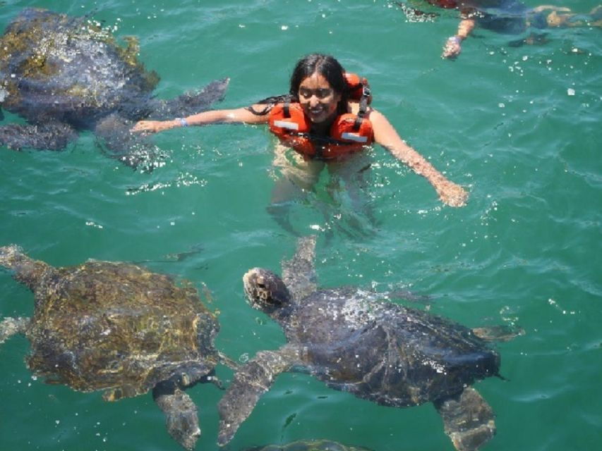 From Piura Excursion to Mancora Swimming With Turtles - Good To Know