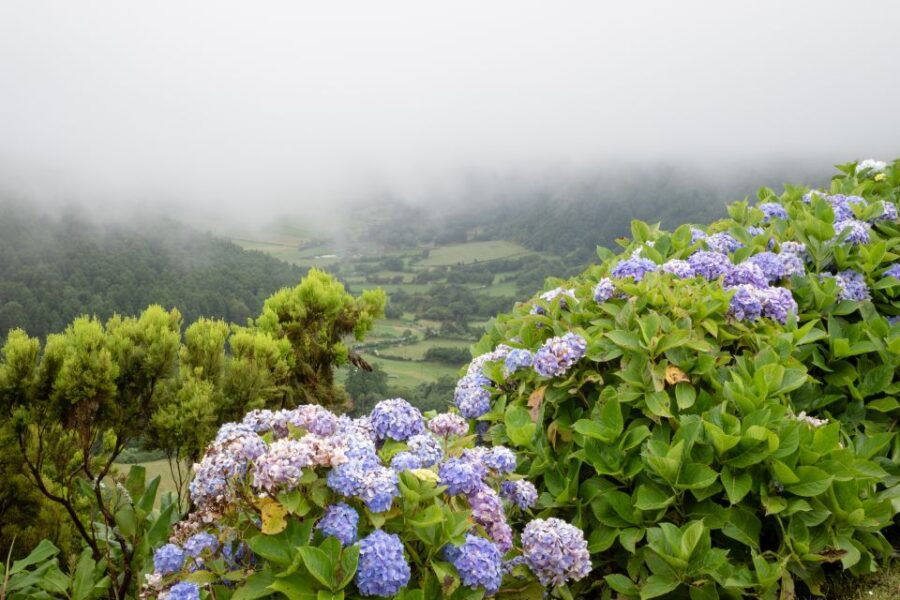 From Ponta Delgada: Vista Do Rei to Sete Cidades Guided Trek - Good To Know