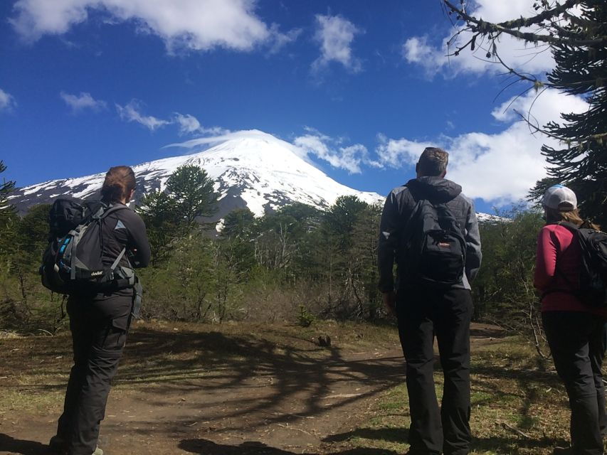 From Pucón: Lanín Volcano Guided Ascent - Activity Details