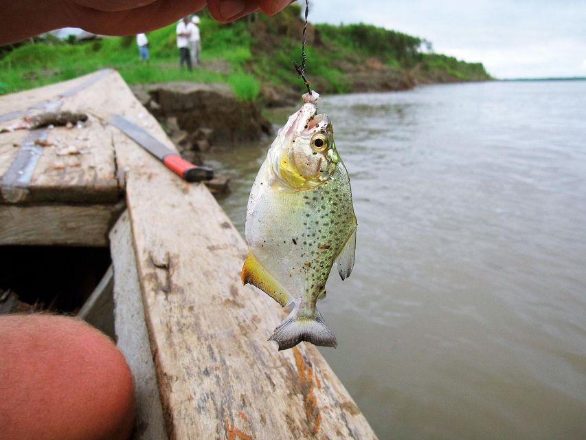 From Puerto Maldonado Piranha Fishing and Parrot Watching
