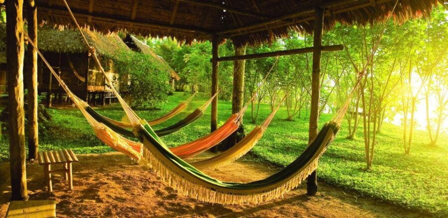 From Puerto Maldonado: Tambopata 3-Day Rainforest Tour
