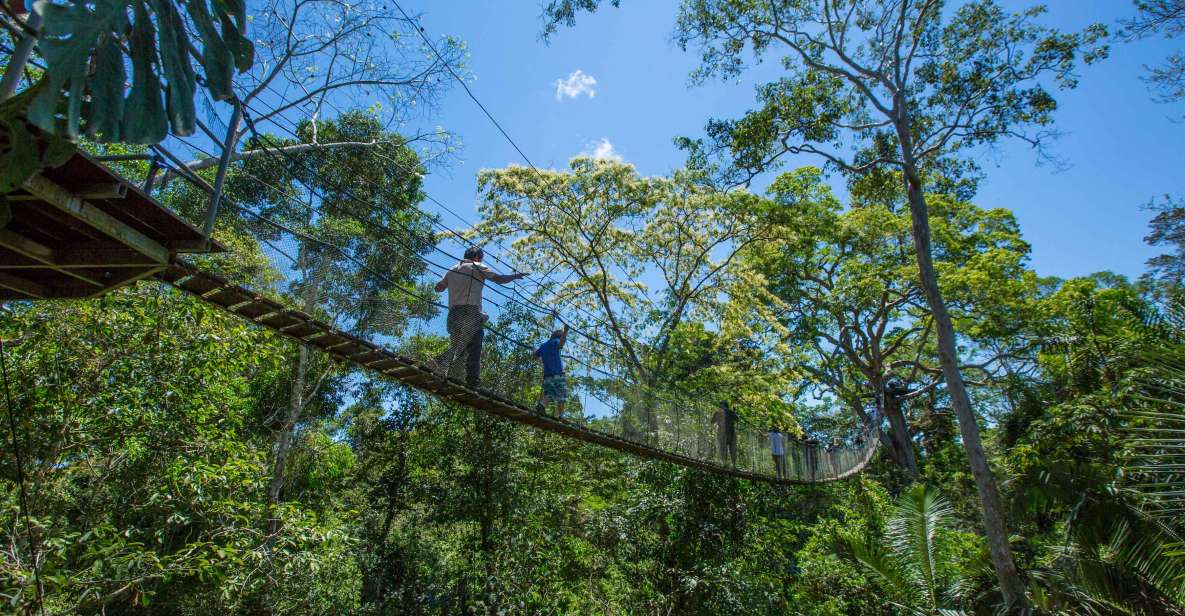 From Puerto Maldonado: Tambopata National Reserve 2-Day Tour