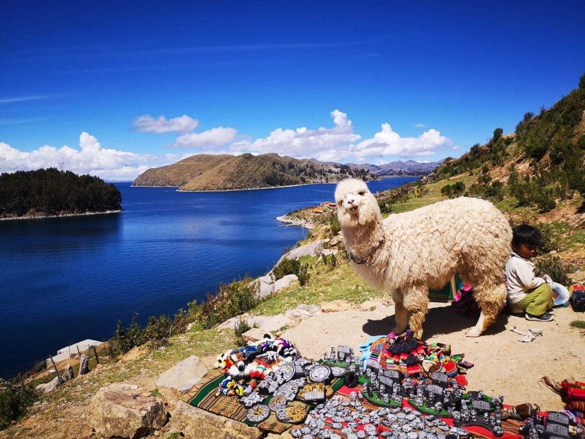 From Puno: Sun Island and Copacabana 1-Day Tour - Tour Duration and Language Options