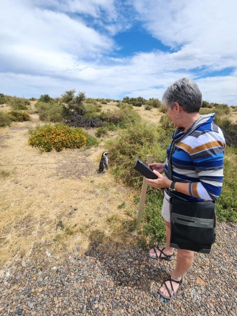 From Punta Madryn: Punta Tombo Shore Excursion With Lunch - Good To Know