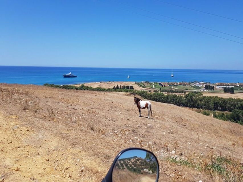 From Ribera: Quad Tour in the Province of Agrigento