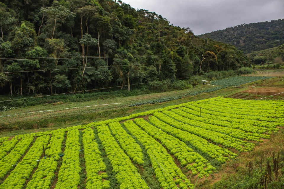 From Rio: Brejal Countryside Farm and Nature Day Trip - Inclusions
