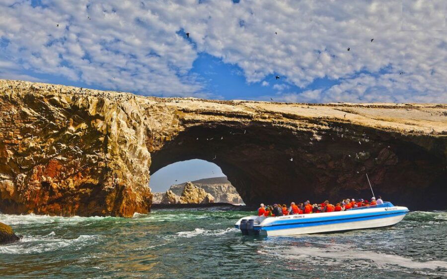 From San Martin Port: 2-Hour Ballestas Island - Local Guides Insights