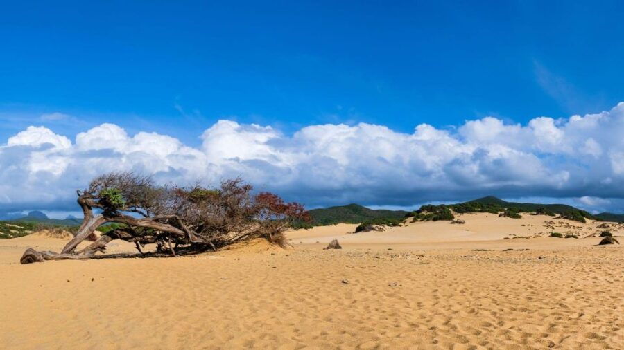 From San Nicolò D'Arcidano: Costa Verde Off-Road Trip - Good To Know