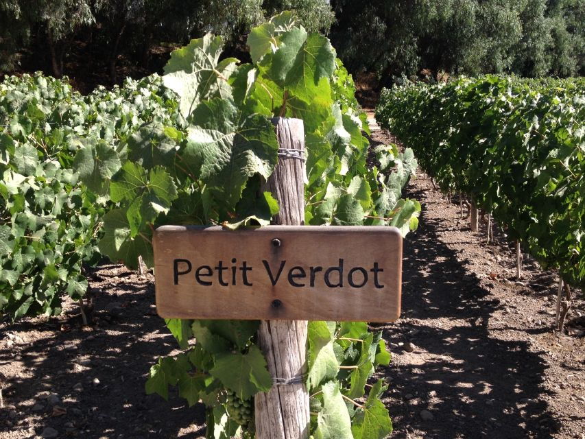 From Santiago: Concha Y Toro Winery Tour With Transfer