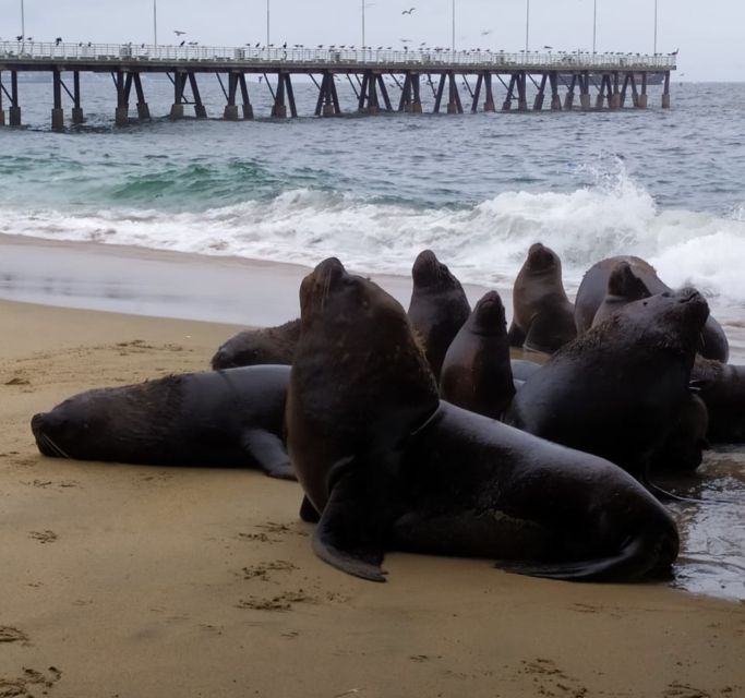 From Santiago: Highlights of Valparaiso and Viña Del Mar