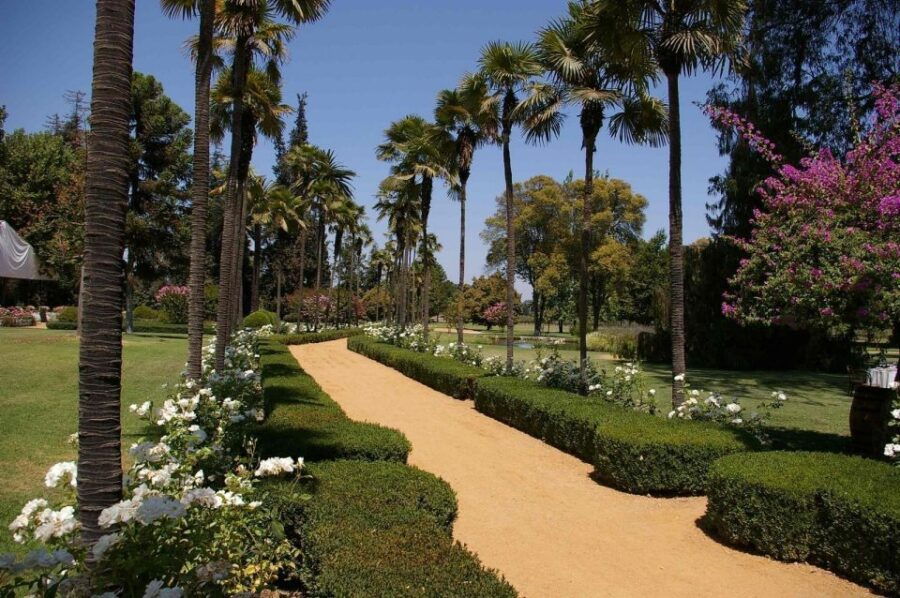 From Santiago: Maipo Valley Wine Tour