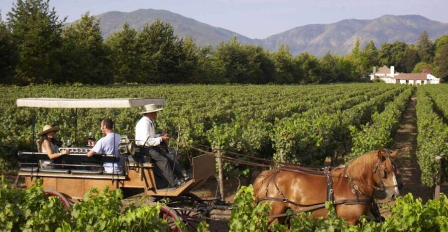 From Santiago: Private Colchagua Valley Wine Tour W/ Tasting