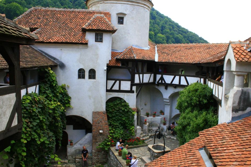 From Sibiu: Day Tour to Brasov and Dracula's Castle - Good To Know