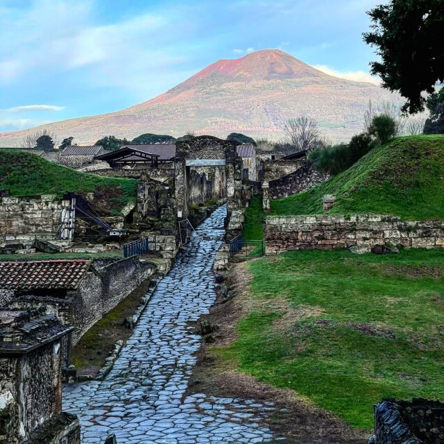 From Sorrento: Pompeii and Vesuvius Tour Skip-the-Line - Refund Policy