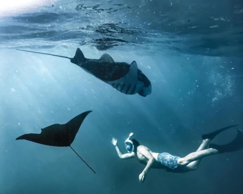 From South Bali: Nusa Penida Full-Day Trip With Snorkeling - Cancellation Policy Details