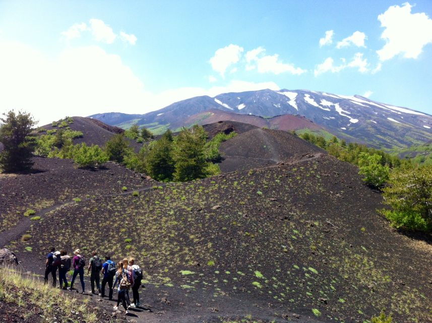 From Syracuse: Etna Tour With Light Lunch and Wine Tasting - Good To Know