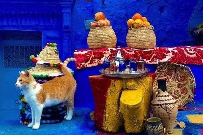 From Tangier: Special Day Trip to Chefchaouen and Tetouan - Traveler Photos and Reviews