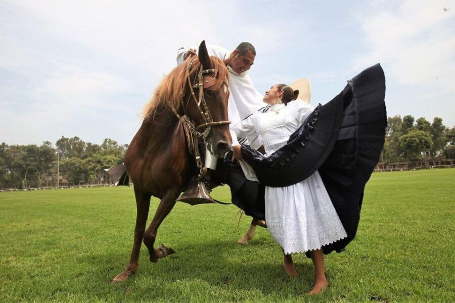 From Trujillo Marinera Show With Peruvian Paso Horses - Good To Know