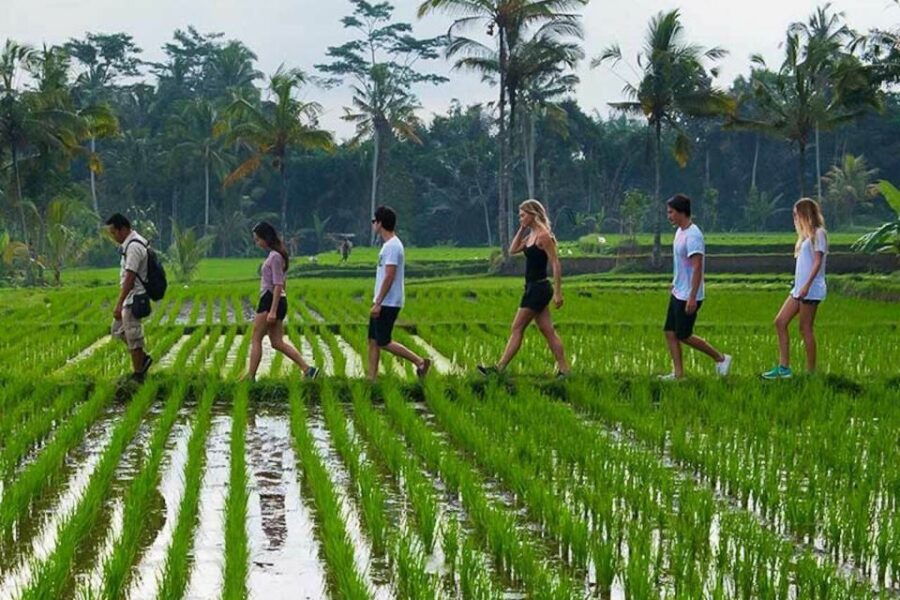 From Ubud: 3-Hour Tropical Trek and Taro Village Tour - Experience Highlights