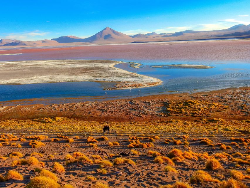 From Uyuni: Red Lagoon & Uyuni Salt Flats 3-Day Guided Tour