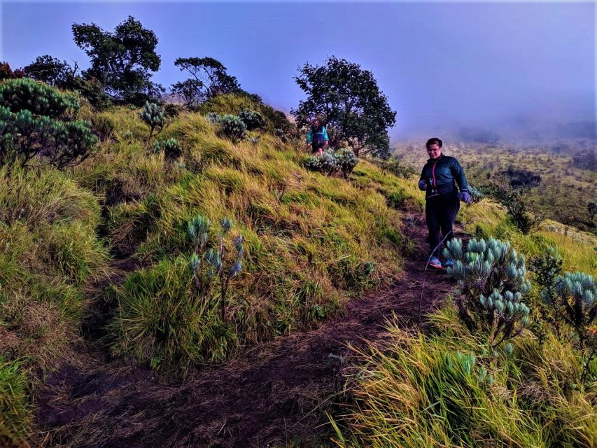 From Yogyakarta: 2-Day, 1-Night Mount Merbabu Camping Trip