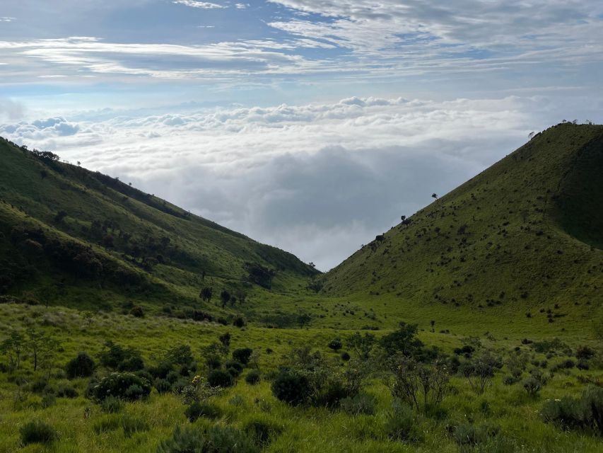 From Yogyakarta : Mt. Merbabu 2-Day Hiking And Camping - Good To Know