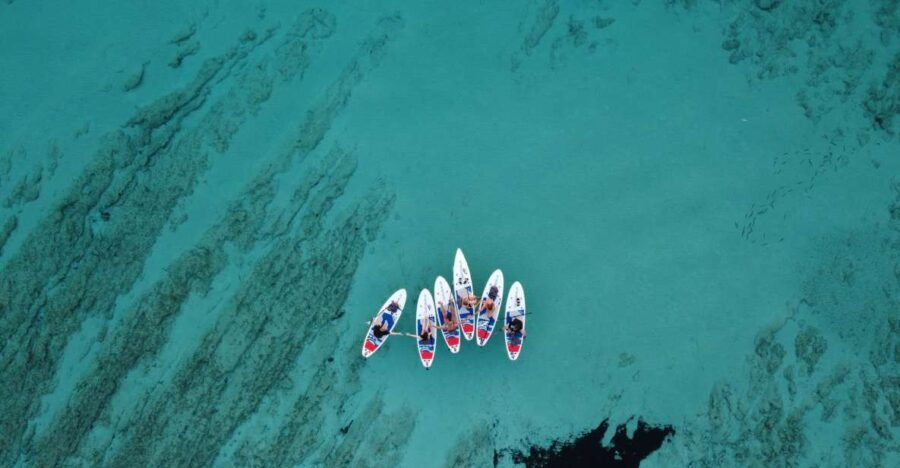 From Zadar: Dugi Otok Guided Paddle Board Tour - Good To Know
