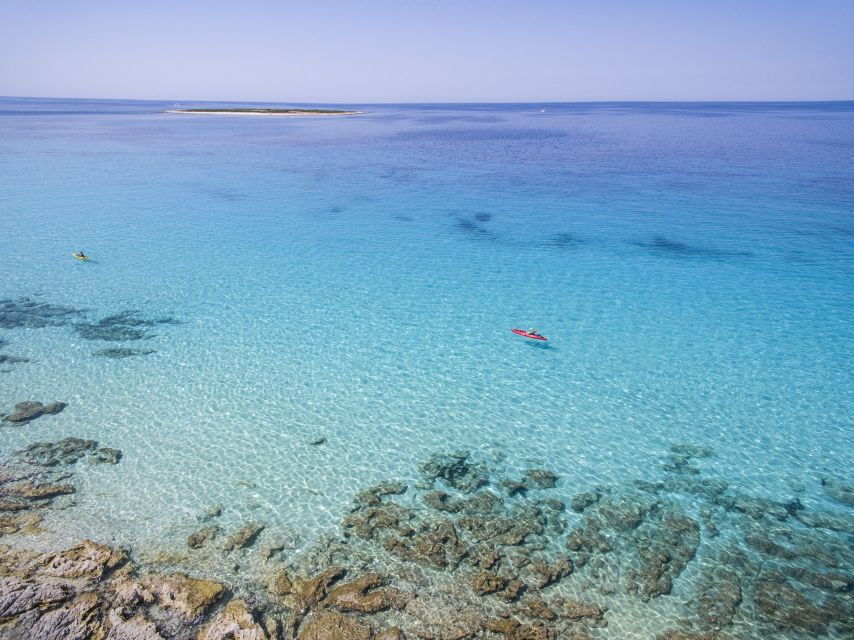 From Zadar: Dugi Otok Half-Day Kayak Adventure - Good To Know