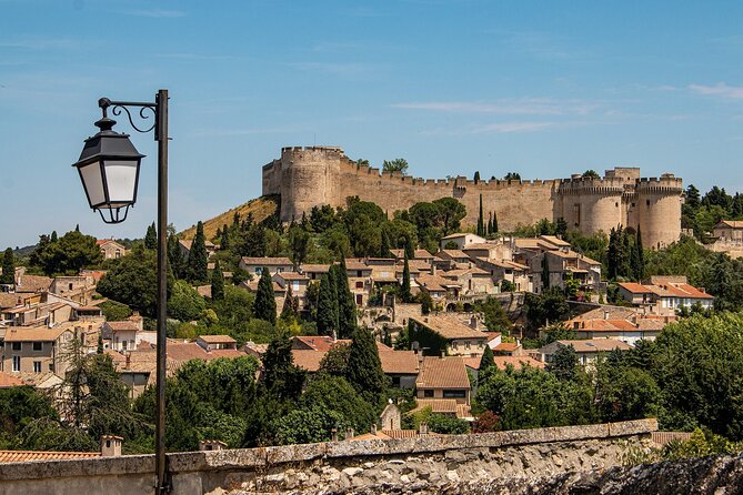 Full-Day Avignon Private Tour With Wine Tasting From Marseille - The Sum Up