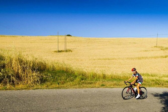 Full-Day Chianti E- Bike Tour