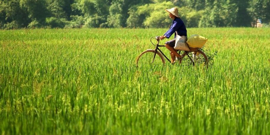 Full-Day Cycling & Handcraft Workshop in Mai Chau Valley - Good To Know