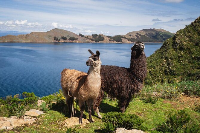 Full Day Excursion Lake Titicaca, Copacabana and Sun Island