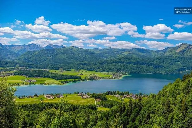 Full-Day Luxury Bus Tour From Munich - Customer Reviews