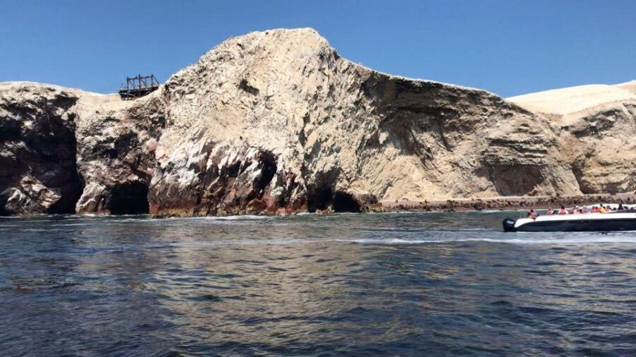 Full Day Paracas-Ica From Lima - Good To Know