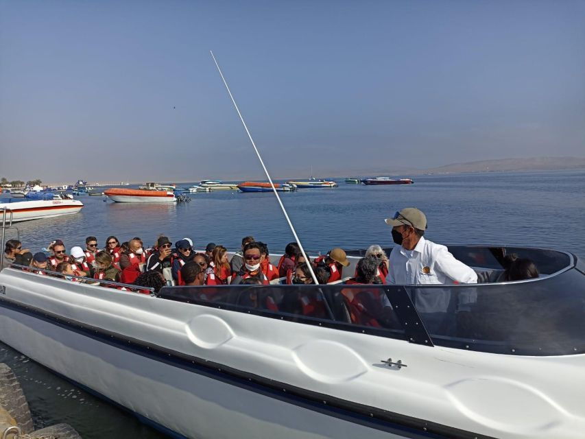 Full Day Paracas- Ica - Huacachina - Good To Know