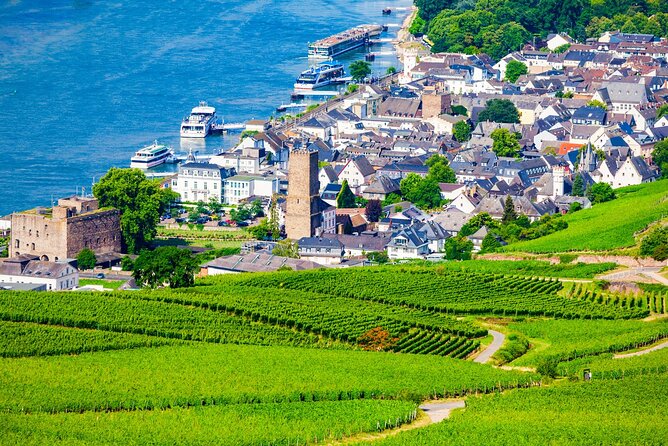 Full Day Private Rhine Valley Wine Tour Experience From Frankfurt - Pricing and Guarantee