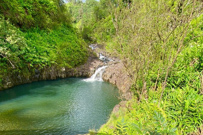 Full Day Private Road Tour to Hana
