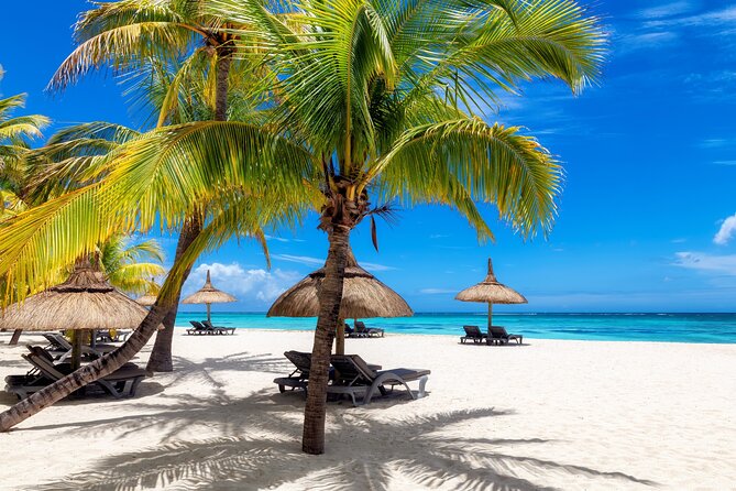 Full Day Private Shore Tour in Punta Cana From Cap Cana Port - Good To Know