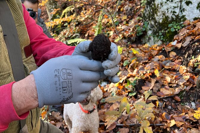 Full-Day Private Tour Truffles Lovers Experience With Lunch