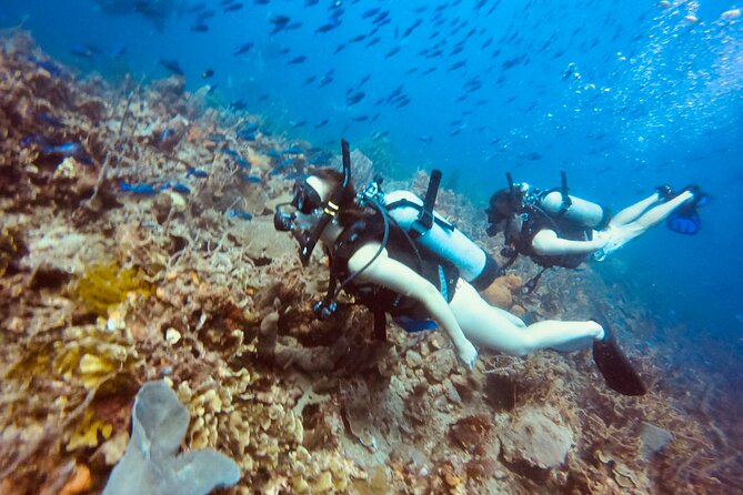 Full Day Scuba Diving in Rosario Islands - Experience the Underwater Wonders