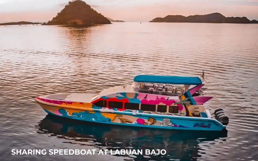 Full Day Tour Komodo Island With Sharing Speedboat - Tour Highlights
